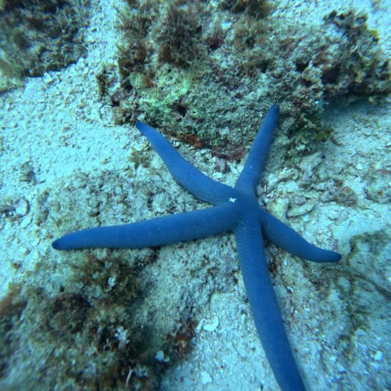 DCIM100GOPROGOPR0621.JPG